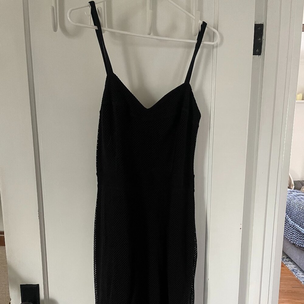 Express Mesh Dress